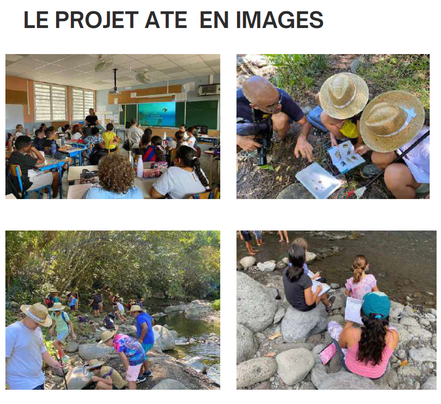 Image d'illustration pour : Les Aires Terrestres Educatives