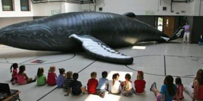 Image d'illustration pour : Une baleine glonflable de 15m de long