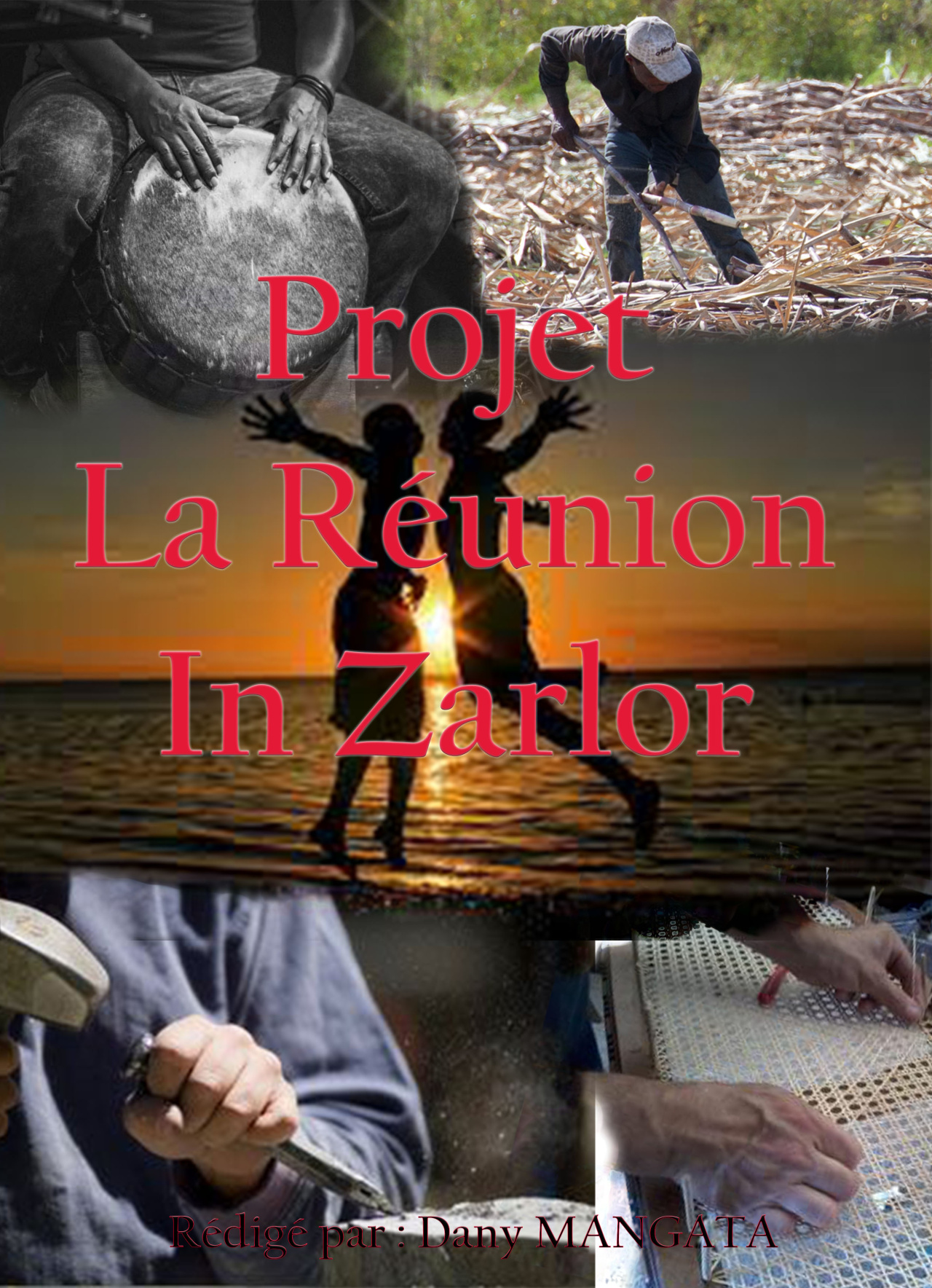 Image d'illustration pour : La Réunion?  In Zarlor