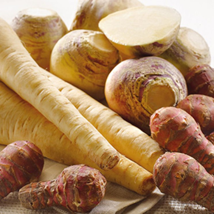 Image d'illustration pour : Mise en place de culture de légumes longtemps