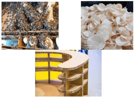 Image d'illustration pour : Savoirs et Saveurs : Apiculture, écoconception et gastronomie locale