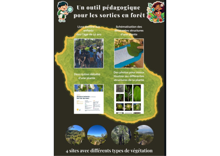 Image d'illustration pour : Les petits botanistes de La Réunion,  explorateurs de la flore Image d'illustration pour : Les petits botanistes de La Réunion,  explorateurs de la flore