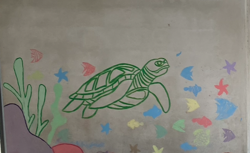 Image d'illustration pour : FORMER DES AMBASSADEURS DES OCEANS Image d'illustration pour : FORMER DES AMBASSADEURS DES OCEANS