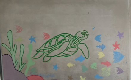 Image d'illustration pour : FORMER DES AMBASSADEURS DES OCEANS Image d'illustration pour : FORMER DES AMBASSADEURS DES OCEANS