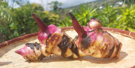 Image d'illustration pour : Nout kizine Nout zistoir Image d'illustration pour : Nout kizine Nout zistoir